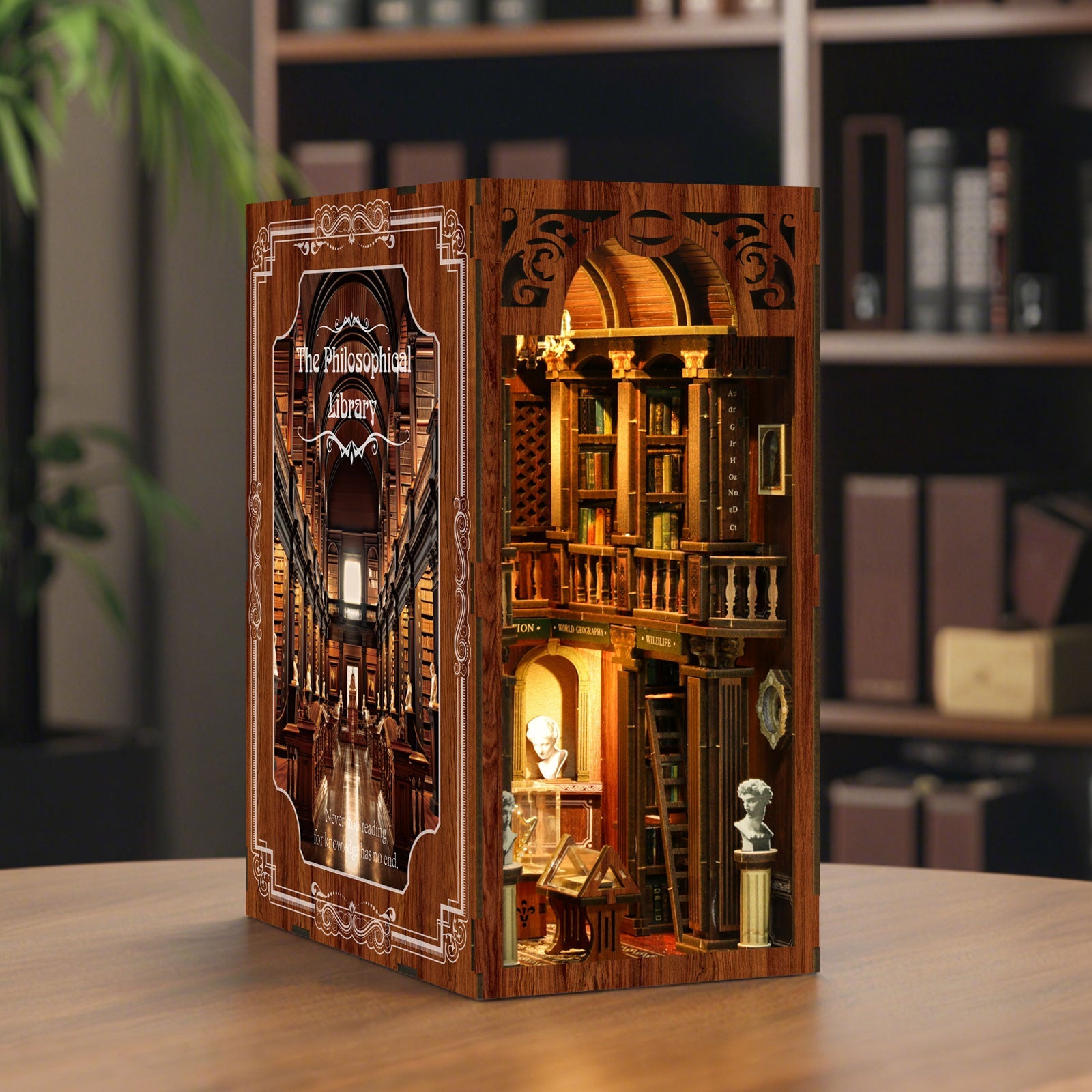 The Philosophical Library DIY Book Nook Kit | Whitby Thorne - Image 15